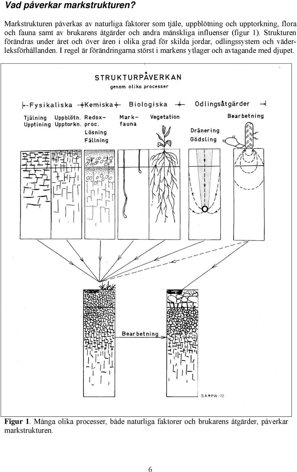 åtgärder och andra mänskliga influenser (figur 1).