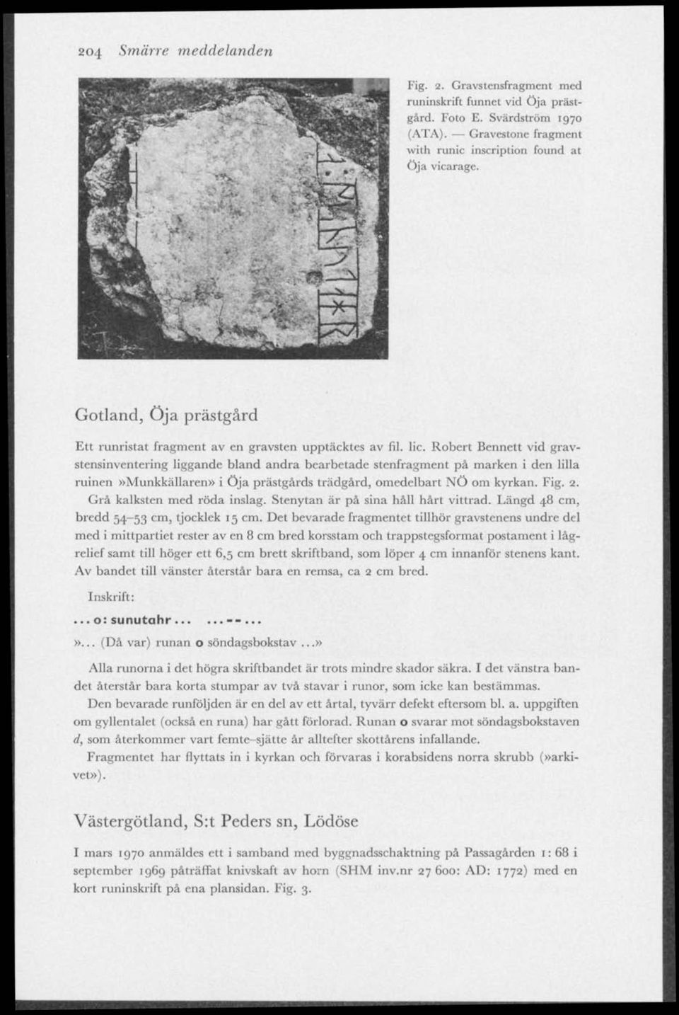 Robert Bennett vid gravstensinventering liggande bland andra bearbetade stenfragment på marken i den lilla ruinen»munkkällaren» i öja prästgårds trädgård, omedelbart NÖ om kyrkan. Fig. 2.