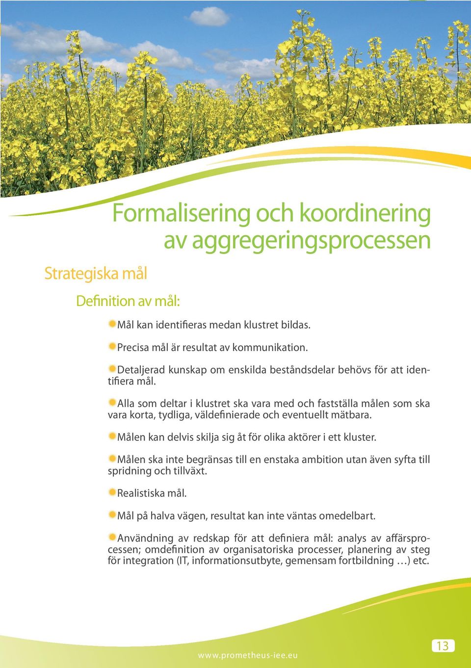 Alla som deltar i klustret ska vara med och fastställa målen som ska vara korta, tydliga, väldefinierade och eventuellt mätbara. Målen kan delvis skilja sig åt för olika aktörer i ett kluster.