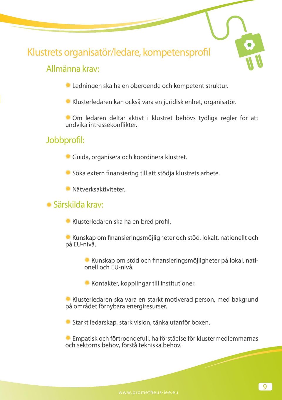 Söka extern finansiering till att stödja klustrets arbete. Nätverksaktiviteter. Särskilda krav: Klusterledaren ska ha en bred profil.