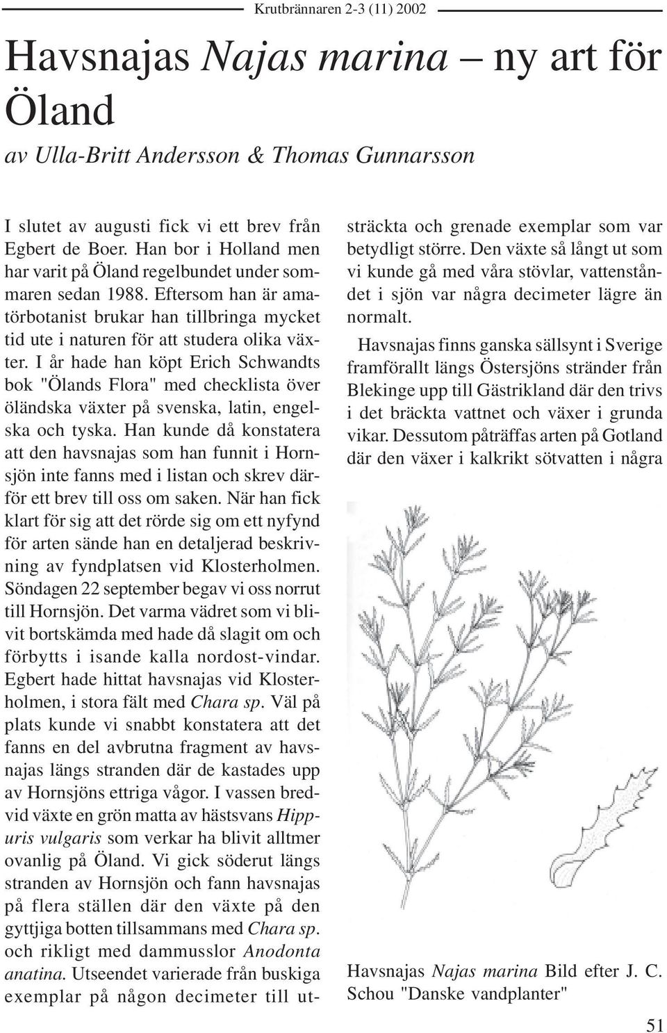 I år hade han köpt Erich Schwandts bok "Ölands Flora" med checklista över öländska växter på svenska, latin, engelska och tyska.