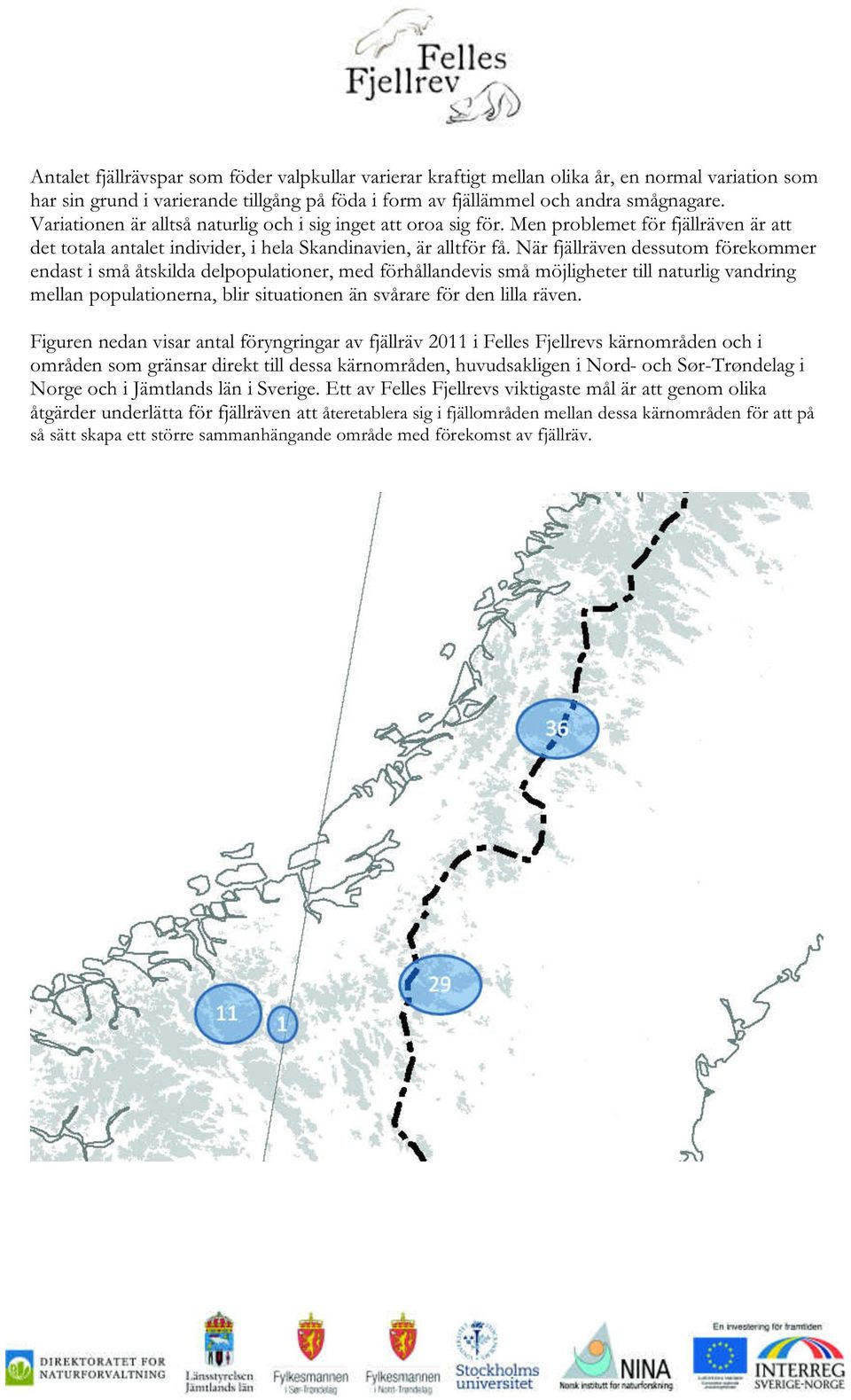 När fjällräven dessutom förekommer endast i små åtskilda delpopulationer, med förhållandevis små möjligheter till naturlig vandring mellan populationerna, blir situationen än svårare för den lilla