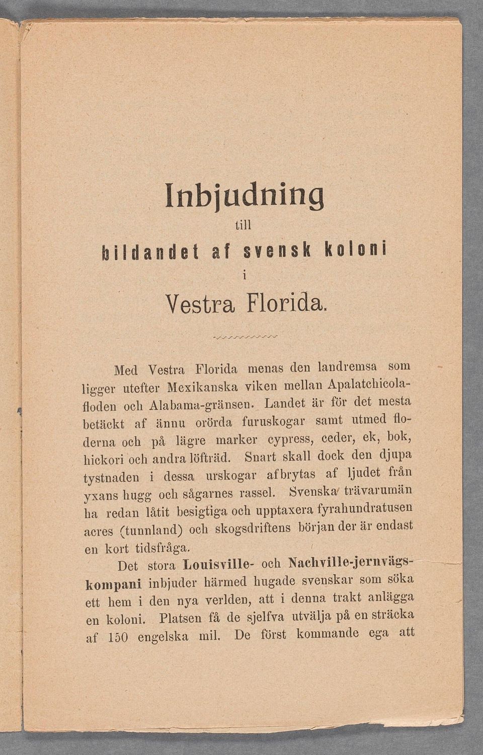 flo- derna och på lägre marker eypress, ceder, ek, bok,, hckoroch andra löfträd. Snart skall dock den djupa tystnaden dessa urskogar afbrytas af ljudet från yxans hugg och sågarnes rassel.