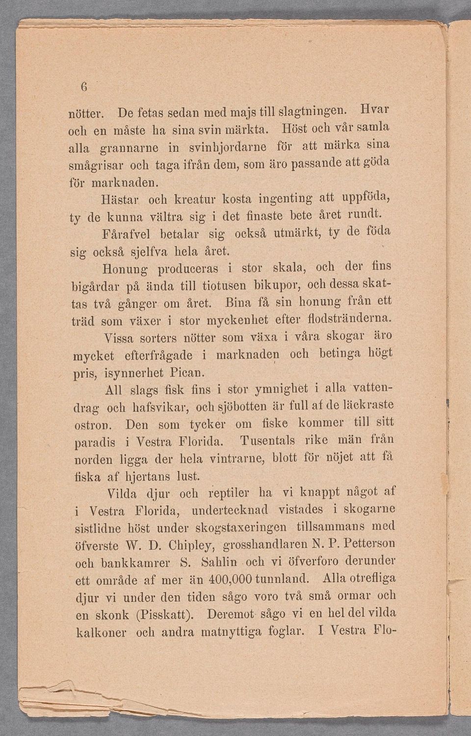 Hästar och kreatur kosta ngentng att uppföda, ty de kunna vältra sg det ñnaste bete året rundt; Fårafvel betalar sg också. utmärkt, ty de föda sg också sjelfva hela âret.