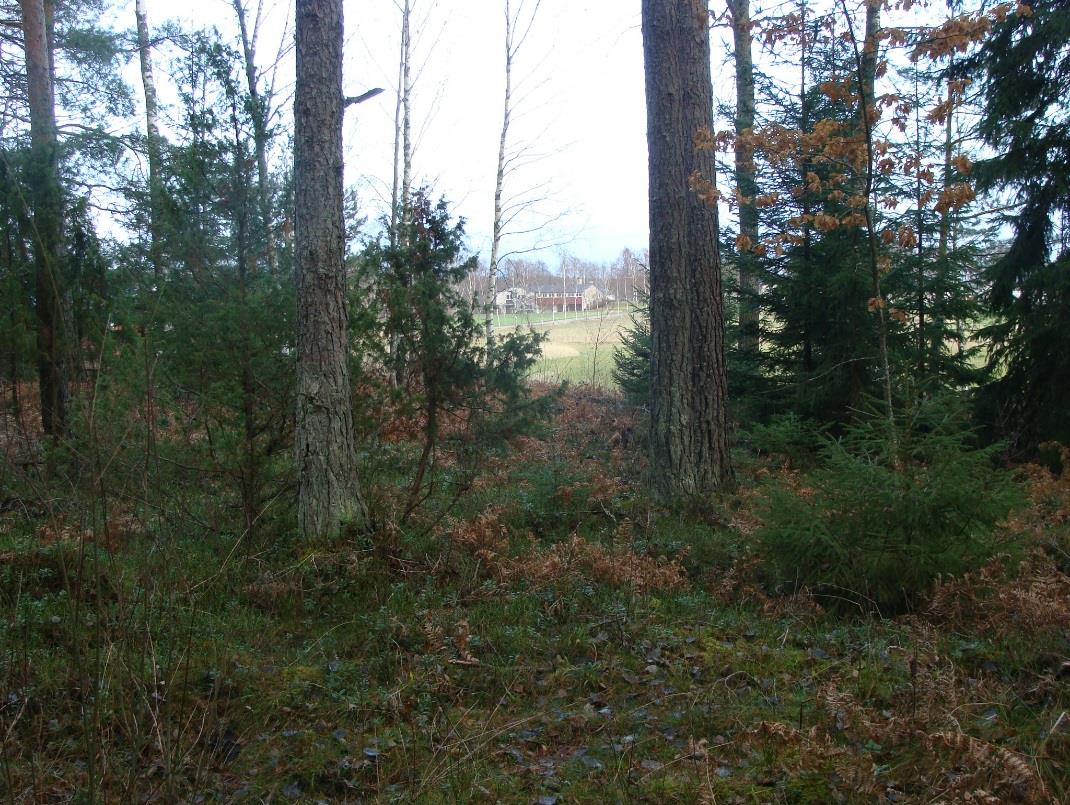 1 (8) Översiktlig geoteknisk utredning för nytt äldreboende Hammarö kommun, Värmlands län