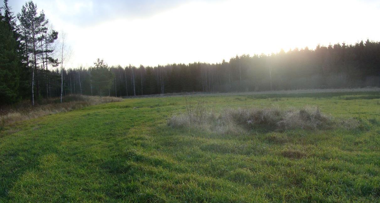 5 (8) Västra och östra delen av området består av ängs- eller åkermark. Ett par mindre områden med berg i dagen finns på ängs-/åkermarken både väster och öster om skogsområdet.