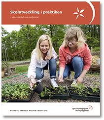 Några resultat Skoldatateken, stora anslag, tycks ha givit ramar för en fysisk lärmiljö med pedagogiska resurser och kunskaper i hela landet.