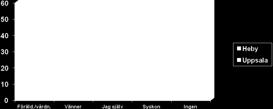 Diagram 3, Fråga 13: vem tycker du har högst förväntningar på att du ska studera på högskola?