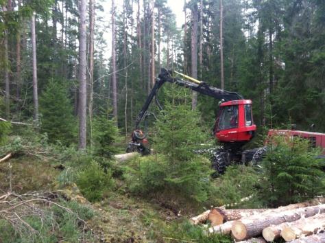 Handbok fo r inventeringen av sja lvfo ryngring i kontinuitetsskogsbruk Varför ska du läsa detta här?