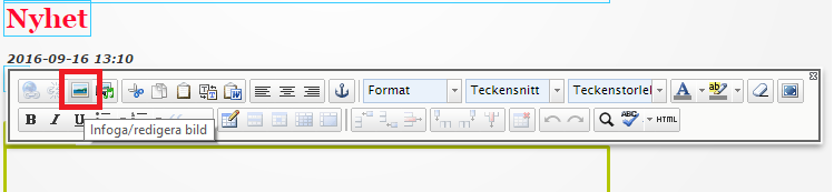 Ta bort nyhet För att ta bort en nyhet, gå in i redigerarläget och i navigeringsfönstret så markerar ni nyheten.