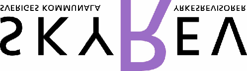 1 Protokoll från SKYREVs informationskommitté Plats: Telefonsammanträde Tid: 2006-10-27.