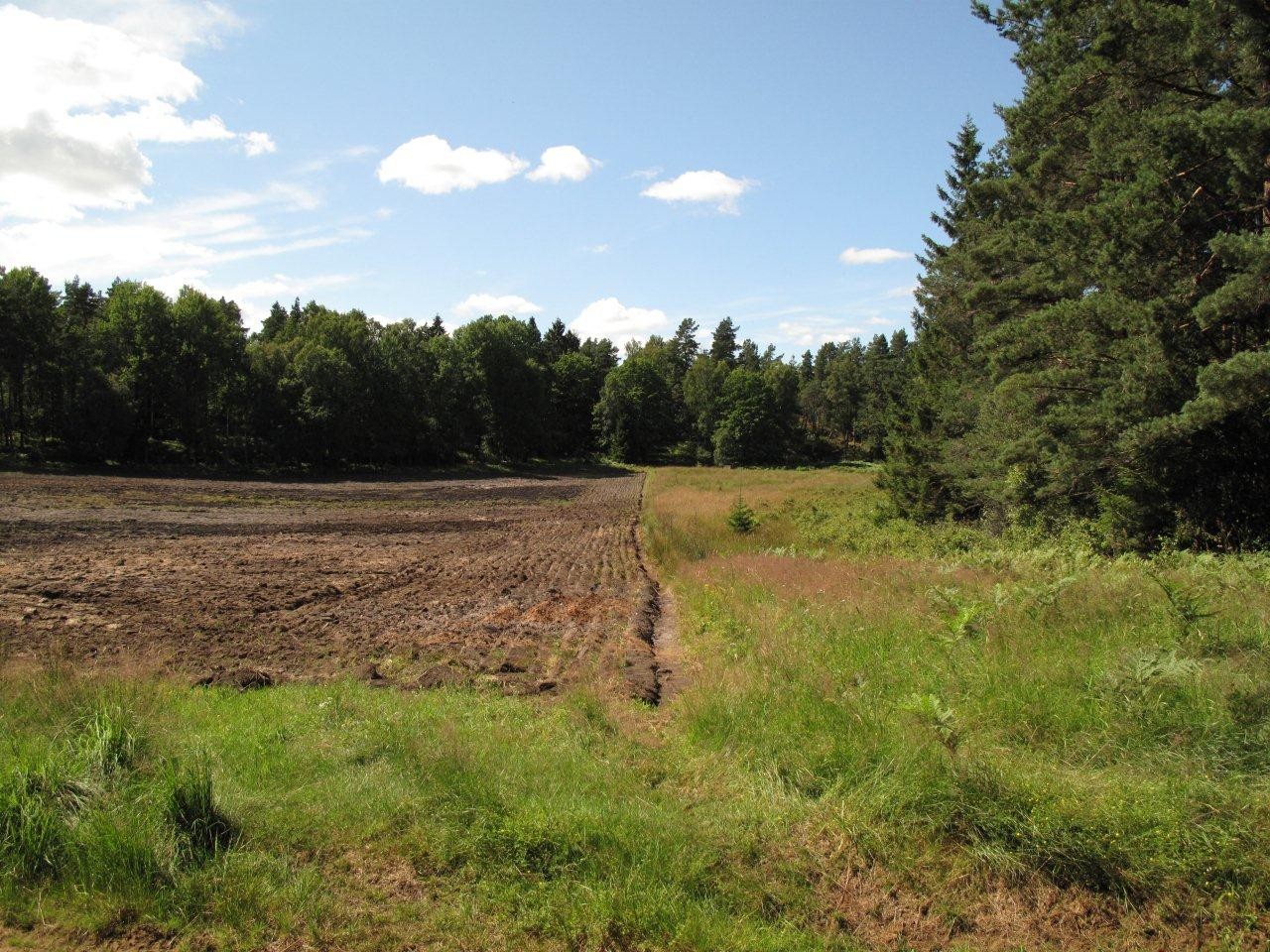 Alefjäll är ett område med varierande naturtyper som ger möjligheter till en mångfald av naturupplevelser.