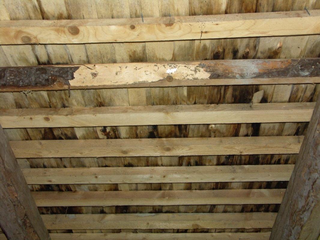 Begränsade fuktskador på stickspån och läkt på takfallet mot SV Begränsade fuktskador på stickspån Takets sammanlagda yta utgör 63 m².