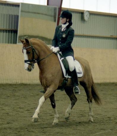 Hoppdiplom 3-årstest. 3:a finalen 3-årstest. Bästa renrasiga Welshponny. Äg. Annelie Alfredsson. Foto: Yvonne Karlsson Welsh Mountain-hingsten Heniarth Mr Milligan e. Roseisle Pandytudyr u.