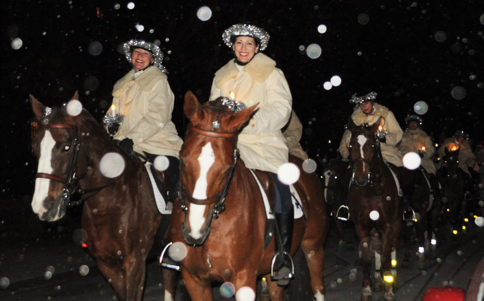 Stjärnor i Skansens luciatåg Den 11 december rider Stjärnor i den kortege som kör Skansens lucia från Hovstallet till Solliden. Lucia med följe sitter i vagnar som framförs av Hovstallet.