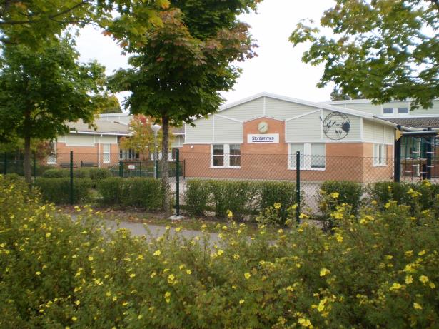 Alla elever: Trivs och mår bra Når målen i alla ämnen Förbättrar årligen sina resultat Har huvudrollen i sitt och skolans