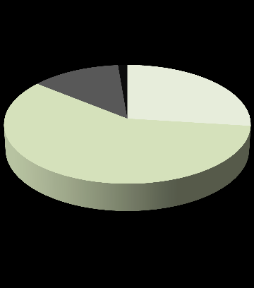 Föräldraskap Jag upplever att jag lyckas i mitt föräldraskap 8,74% 0,89% För det mesta eller alltid 61,78% 28,59% Ofta eller en stor del av tiden Ibland eller lite grann 7 6 5 4 1 Jag upplever att