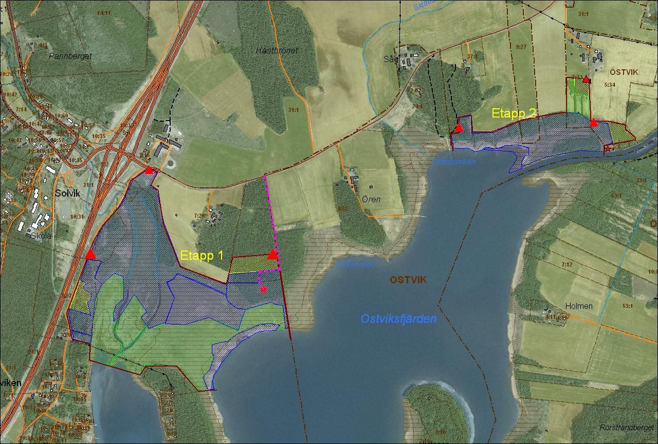 3 Ostviksfjärdens betade havsstrandängar Ett naturvårdsprojekt är i full gång och landskapet kring Ostviksfjärden håller på att åter öppnas upp och bli en del av det öppna jordbrukslandskapet.