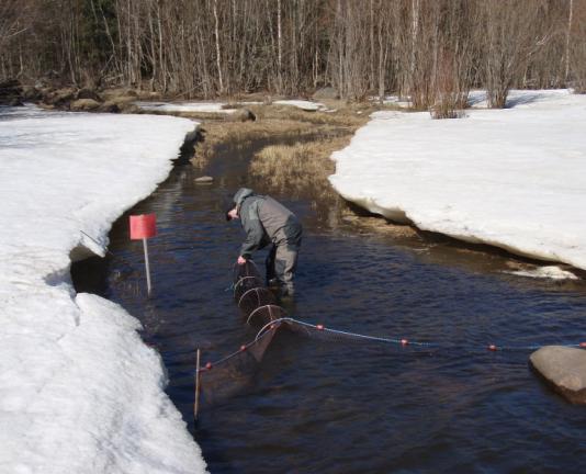 4 Kustvattendragens betydelse för fiskreproduktion - Inventeringsprojekt 2006-2010 Kartläggning av kustvattendrag för fiskvandring och fisklek - ålryssjor, visuell kontroll på våren Inventerat