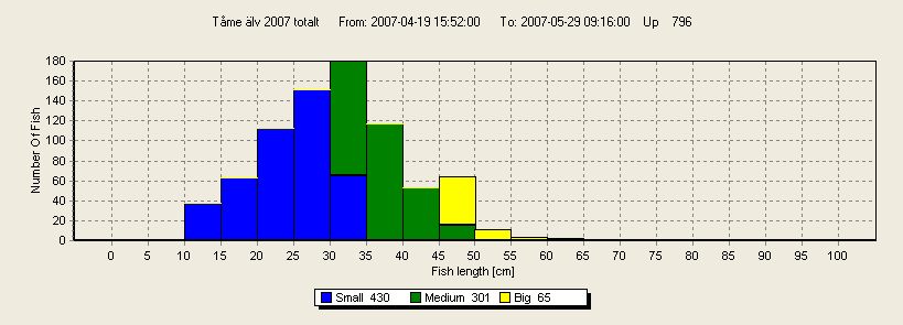 6 Diagrammet visar fördelning i längd hos de uppvandrande fiskarna. Totalt registrerades 796 uppvandrande individer under tidsperioden.