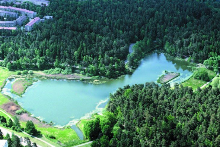 Faktaunderlag Råcksta Träsk Råcksta Träsk, belägen i västerort, är en liten och vassrik sjö i den östra delen av Grimsta friluftsområde. Sjön ligger inom det föreslagna naturreservatet Grimsta.
