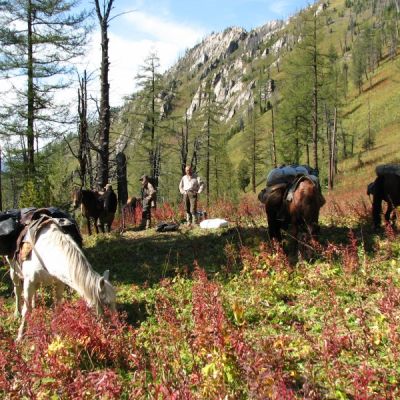 UPPEHÄLLE - Camp Gorno Altai CAMP GORNO ALTAI Uppehället börjar i baslägren i antingen Tungur, Kucherlinskojesee eller Antara.