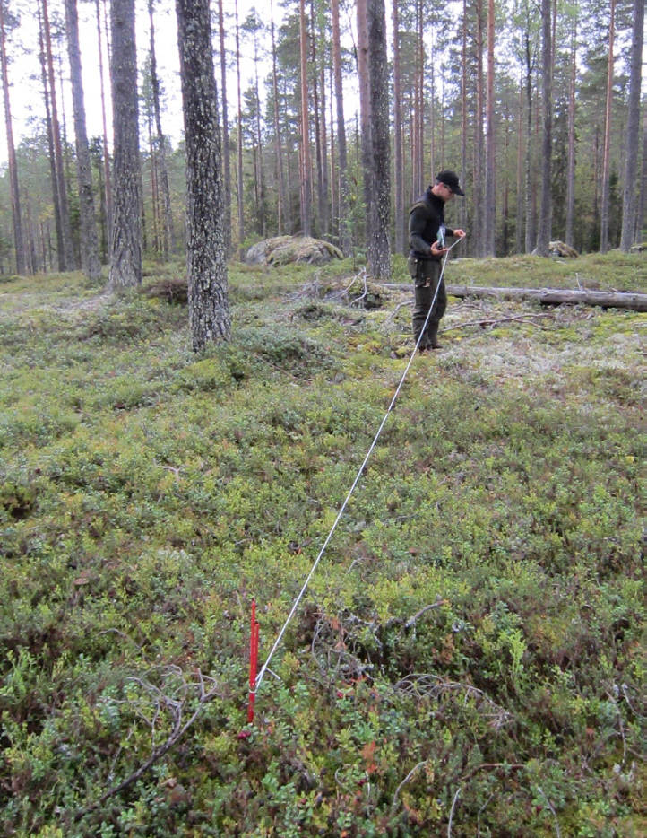 Metodik vid insamling Alternativ 1 är det som är bäst och som därför rekommenderas.