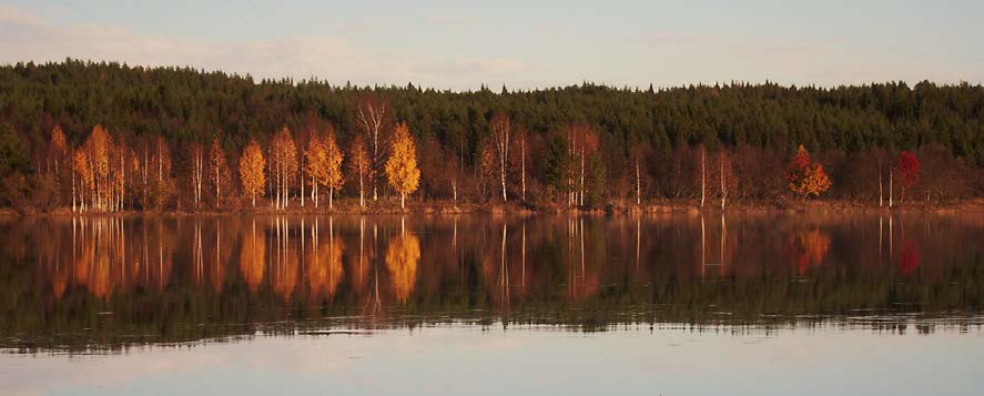 SMITTSKYDD, NORRBOTTENS LÄNS LANDSTING, 971 8 LULEÅ, TELEFON 92-28 36 16 Nr 3-214 Innehåll Antibiotika... 2 Öppenvårdsförskrivning... 2 Slutenvårdsförbrukning.