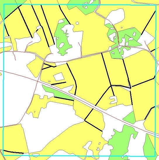 Figur 24. Falbygden i Västergötland. Linjära biotoper som delar av åkermark i en kvadratkilometerruta. Den sammanlagda längden är 8 400 meter vilket ger 84 meter per hektar. Gröna ytor är betesmark.