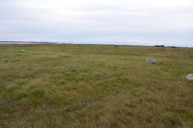 Bedömning av värden Mark- och vattenförhållandena i området har, tillsammans med markanvändningshistorien, format den vegetation och därtill knutet djurliv vi ser idag.