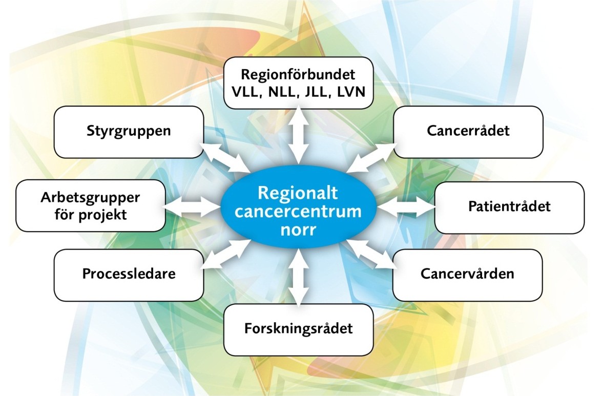 KRITERIER FÖR REGIONALA CANCERCENTRUM Ledning,