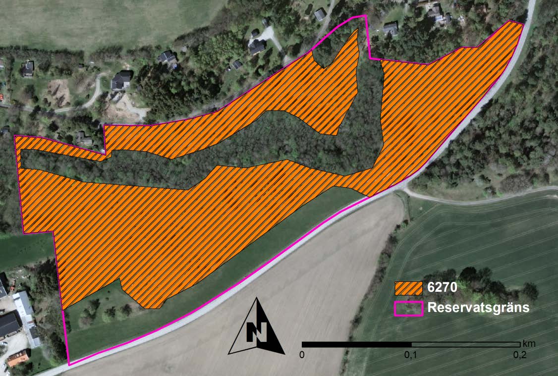 Ramnakullabackarna Ramnakullabackarna i Sjöbo kommun har varit naturreservat sedan 1973. Området får en speciell karaktär av den getryggsformade rullstensåsen.