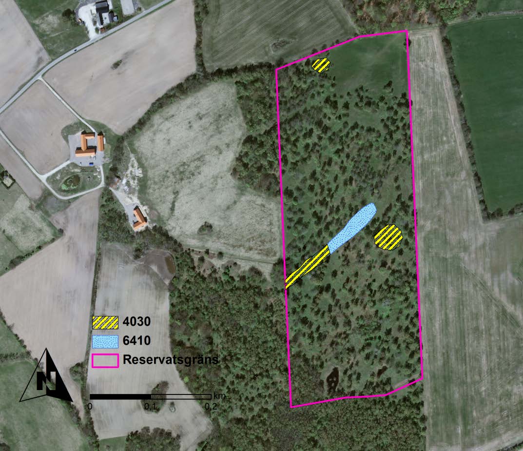 Riddarehagen-Simontorp Riddarehagen-Simontorp är ett relativt litet utmarksfragment som skyddats som naturreservat sedan 1991.