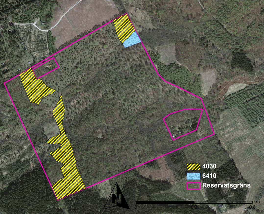 Dörröds fälad Dörröds fälad ligger i Lunds kommun och har varit naturreservat sedan 1993. Området sambetas av hästar och får. I området har tidigare förekommit hasselmus.