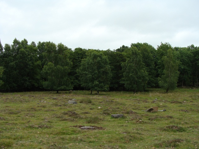 Fuktängar (6410) Naturtypen återfinns i områdets nordöstra hörn och utgör endast ett litet parti i gränsen mellan skog och en torrbacke. Avgränsningen upplevdes stämma väl.