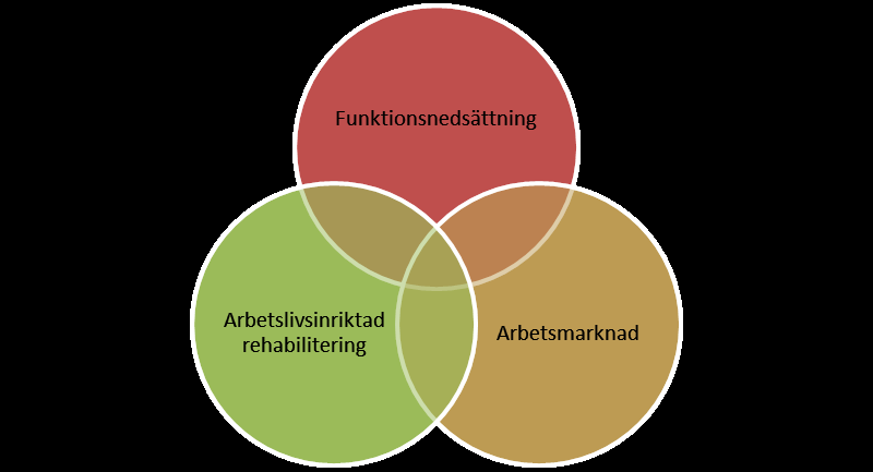 lappande till stor del och inte avgränsade på det sätt som figuren visar. Det analytiska fält som är i fokus för denna avhandling är den skärningspunkt där de tre områdena överlappar.