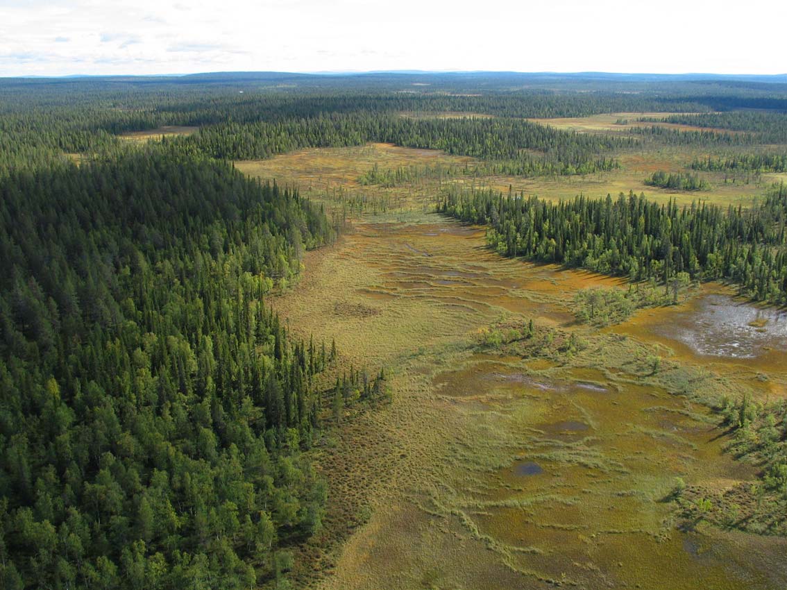 41 (104) Större myr- och naturskogsmosaiker är vanliga i Norrland av naturgeografiska orsaker.