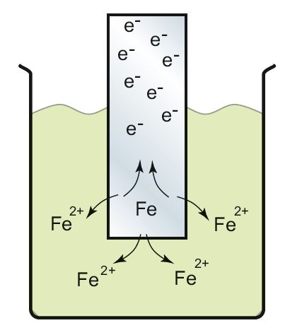 Färskt och orent vatten En metall placerad i en ledande lösning som salt vatten löser ut metalljoner och frigör elektroner