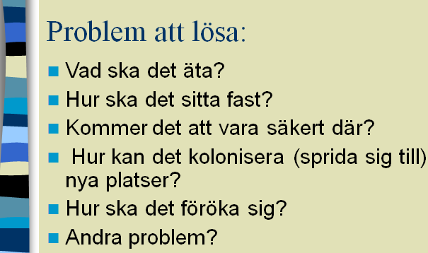 13 Utmaning: Uppfinn ett eget djur Den här uppgiften gör vi för att fundera på hur ett djur kan överleva.