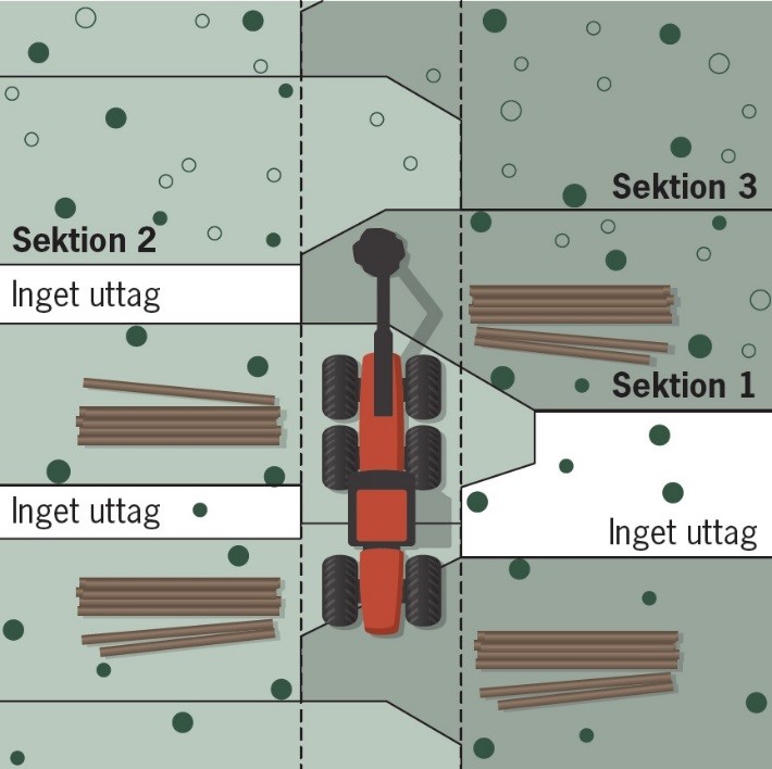 Genom att vara konsekvent och arbeta inom de givna sektionsgränserna blir kranrörelserna korta, risken för skador på kvarstående stammar blir liten och beståndet blir väl genomgallrat.