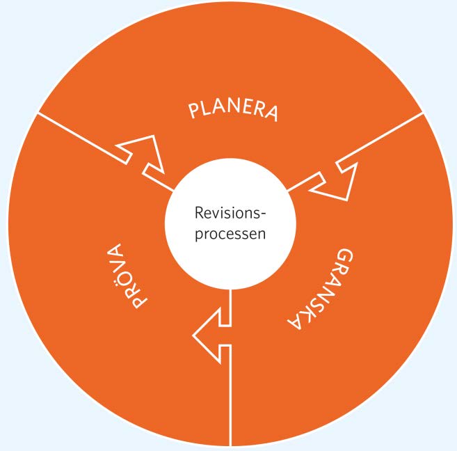 Revisionsprocessen Planera Samla kunskap och erfarenhet Pröva Sammanfatta och samråda Analysera och bedöma Revisionsberättelse Riskanalys Aktiva val