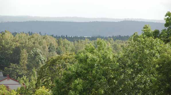 Skogsområden Det finns en lång kontinuitet av samhällets kontroll över skogsområdena nära Göteborg på grund av just stadens behov. Många skogar, t.ex.