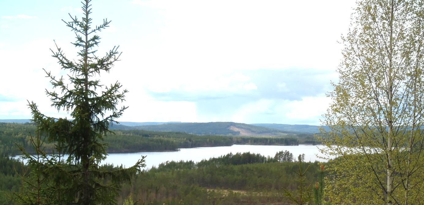 Acksjön från öster RAPPORT 3 BIOTOPÅTGÄRDER, FISKE OCH BESÖKSNÄRING - ÅTGÄRDSPLAN ACKSJÖSYSTEMET Vi träffades den 30 oktober vid Skoterklubbens fina stuga.