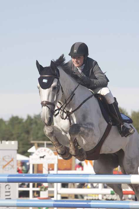 Svenskfödda hästar som startat sin karriär under Svenskt Avel & Sportchampionat Svenskfödda hästar som startat sin karriär under Svenskt Avel & Sportchampionat Mejla gärna in bilder på svenskfödda