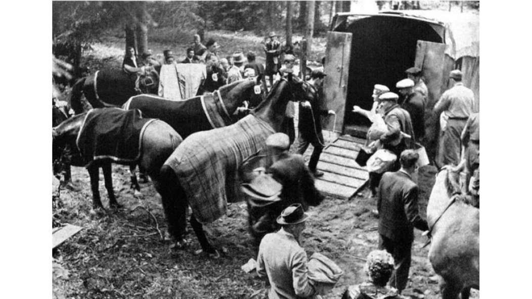 Terrängritten, blir med vädrets makter ganska svår och sätter ryttarnas omdöme och hästarnas kondition på prov.