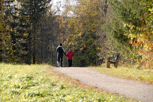 exempelvis bland lekande barn. För människor med funktionshinder är det av största vikt att det finns natur som är tillgänglighetsanpassad.