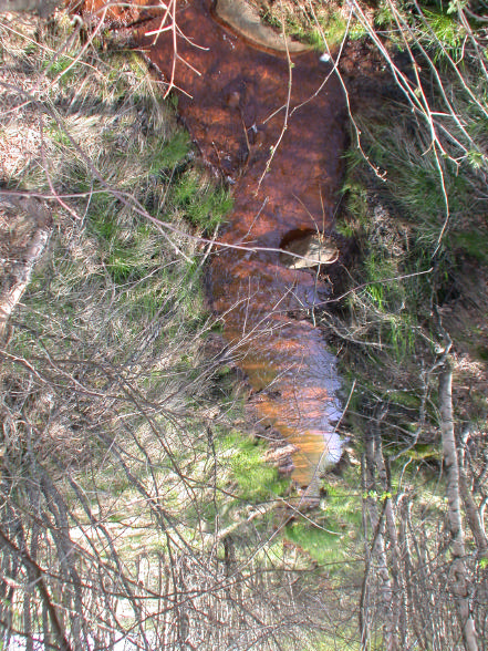 Fig. 7. Dike med järnockra i nedlagd jordbruksmark. Gumboda, Västerbotten. Foto P.-A. Esseen Tabell 27.