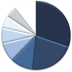 Terapiområden för pågående kliniska läkemedelsprövningar 2015 Therapeutic area for ongoing clinical trials 2015 16% Tumörer & rubbningar i immunsystemet/cancer/immune system Hjärta &