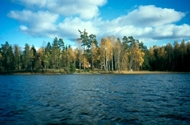 Utvärdering av bottenfaunadata (986 3) i nationella och regionala sjöar och vattendrag i Östergötlands län