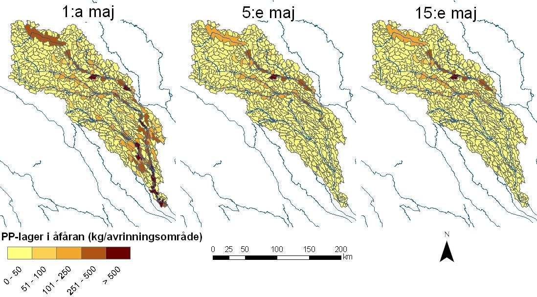 Figur 2. Mängd partikulärt bunden fosfor lagrat i vattendragen tillhörande Kalixälvens avrinningsområde under vårfloden 29.